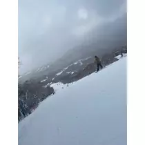 椿 凜音