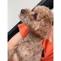 みり