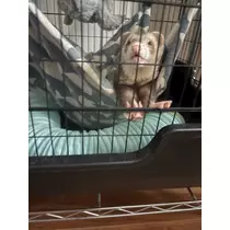 ボコボコりん