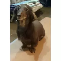 あきな