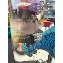 ここ