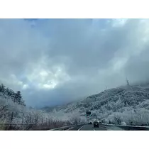 れみ