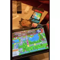 七星 夏純