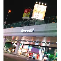 紫音