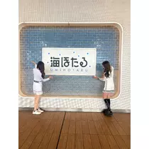 ふうか