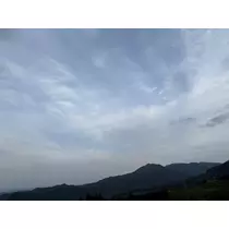 マユ