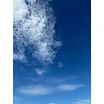 ゆきの