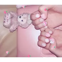 もえ