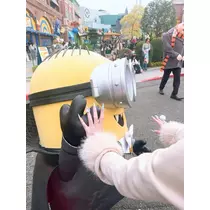 姫花