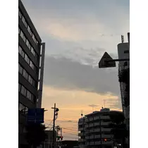 せいか