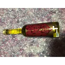 宝條 夏恋