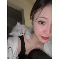 七星 舞冬