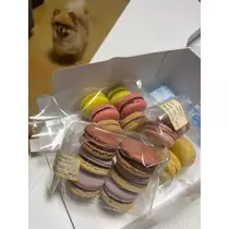 紬 むぎ