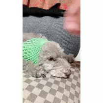 もも