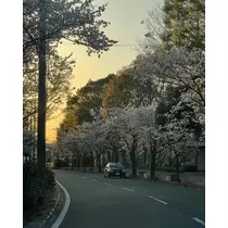 レイカ
