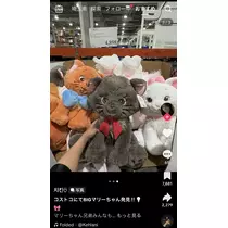 メイ