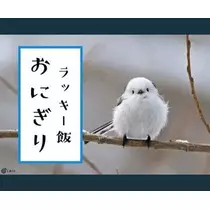 ひな