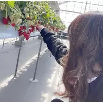 まいか
