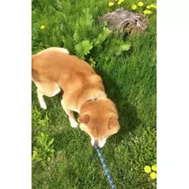 きょう