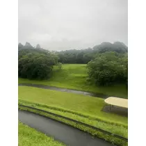 大尻 桃