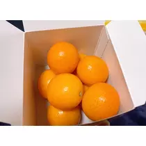 りょう