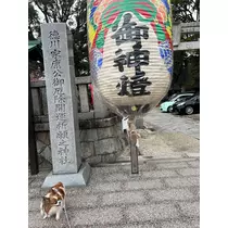 あいら