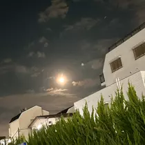 しずか