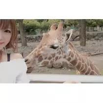 りか