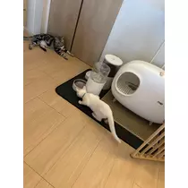 蒼 みらい