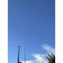 ちひろ