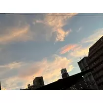 小川 真央