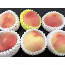 蓮