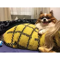 あいら