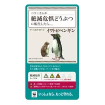ベリー