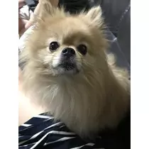 はるか