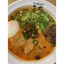 司