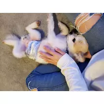 RIKO