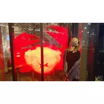 れいな