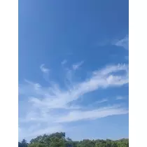 みお