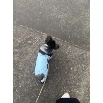 天乃 りさ
