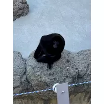 なこ