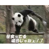 ゆな