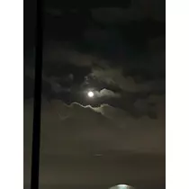 いずみ