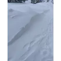 みお