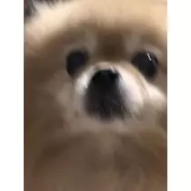 はるか