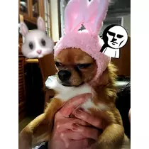 ユカ