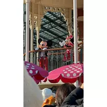 姫花