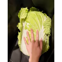 華宮 りりあ