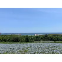 あや