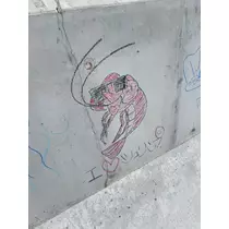 せら